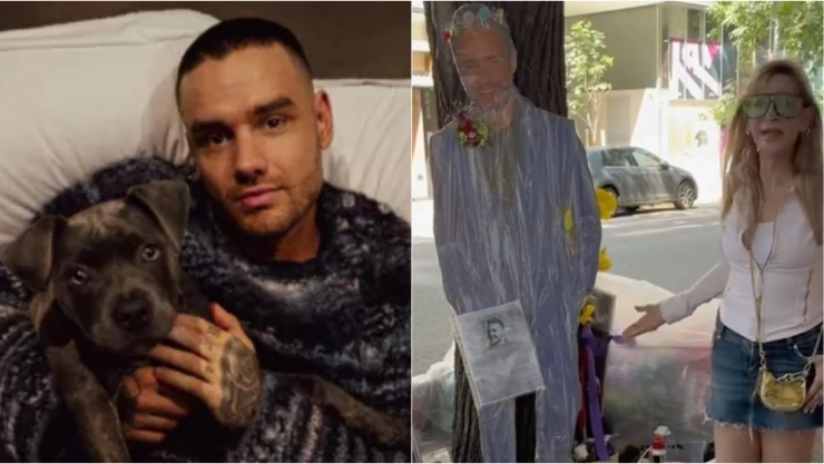 Qué tiene que ver Shanik Berman con Liam Payne