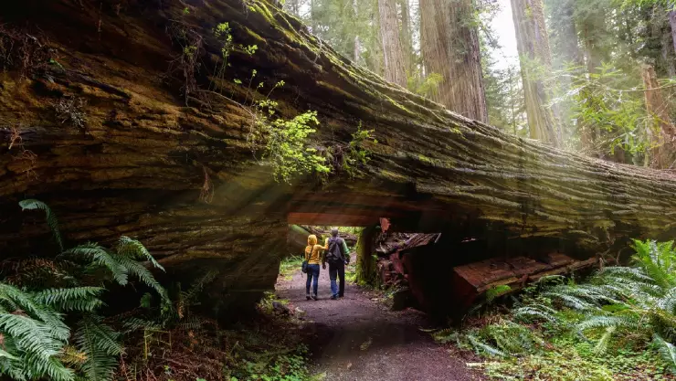 un par de turistas caminan por un sendero en California