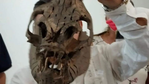 Momia extraterrestre taxco