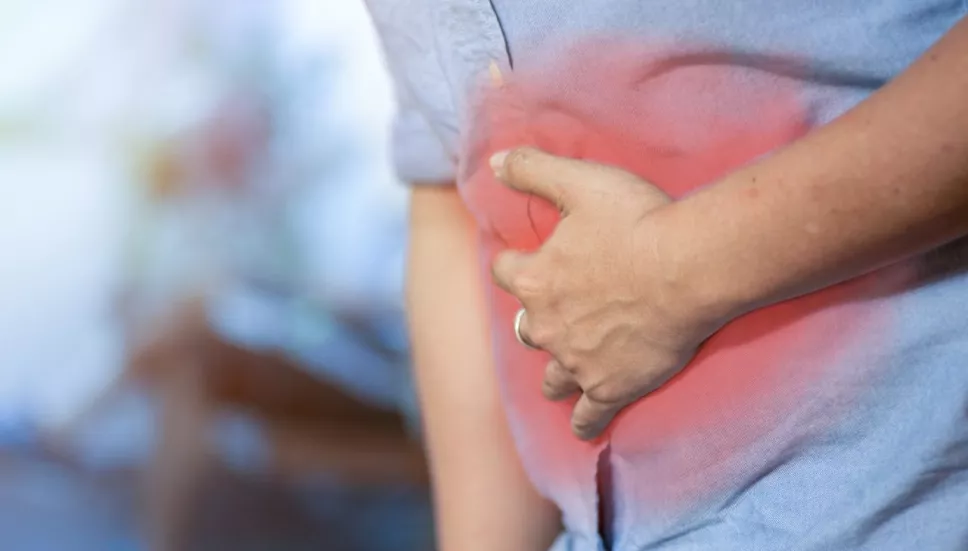 ¿Cuáles son las enfermedades infecciosas intestinales más comunes?