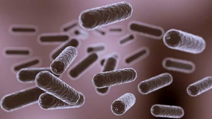 Niño perdió las piernas y los brazos tras contraer una bacteria