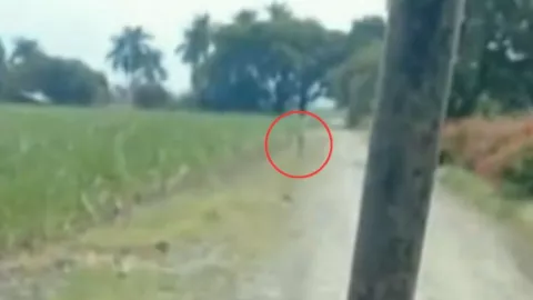 Captan a duende caminando en Colombia