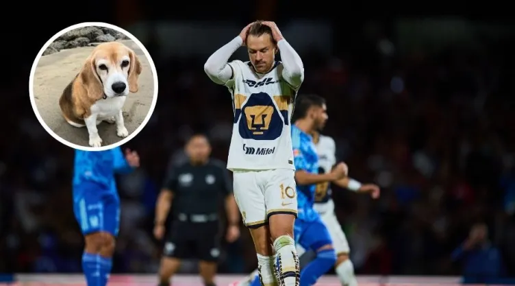 Aaron Ramsey envía un desgarrador mensaje a su perrita Halo