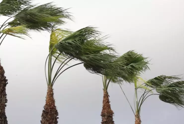 Autoridades alertan por entrada del Frente Frío número 42 a Puebla