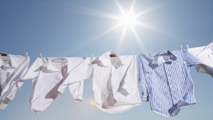 Cuánto tiempo debe estar al sol la ropa para eliminar los huevos de cucaracha.jpg