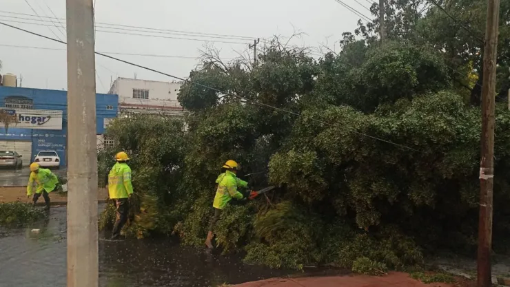Inundaciones, árboles caídos, colonias sin luz y socavones, los estragos de la tormenta en el AMG