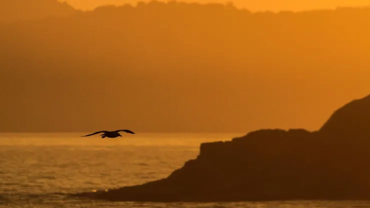Bajas temperaturas en Puerto Vallarta por canal de baja presión e inestabilidad atmosférica