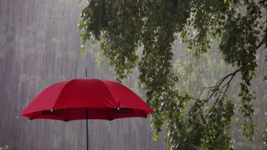  Lluvias en México el 28 de julio 