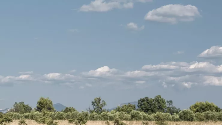 Estas son las olas de calor que faltan de llegar a México