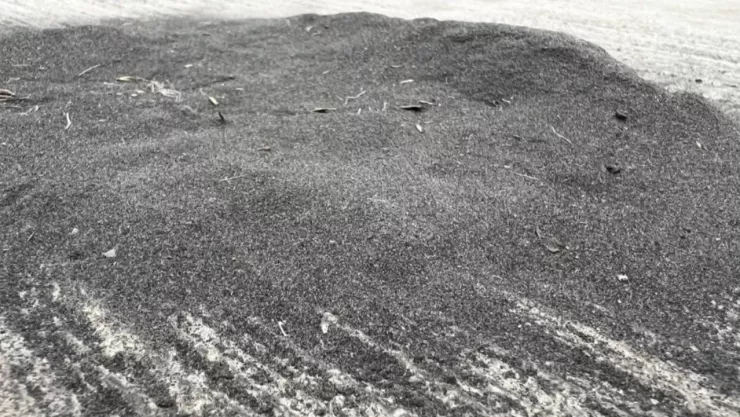 Caída de ceniza en Puebla hoy 4 de mayo de 2025 podría afectar varias regiones