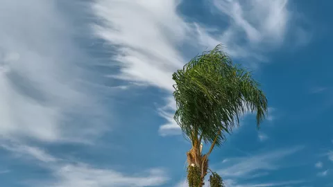 Protección Civil advierte por vientos Santa Ana en Tijuana esta semana ¿cuándo llegan