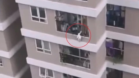 mensajero niña piso 12.jpg