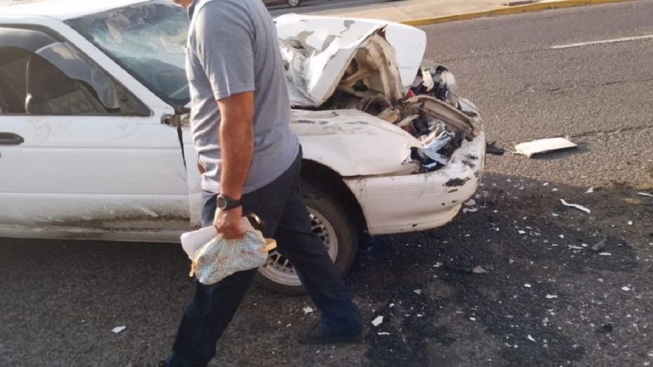 Conductor intenta esquivar perrito