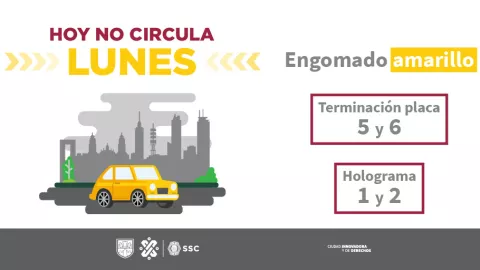 Hoy No Circula: Los autos que descansan los lunes en la CDMX y Edomex