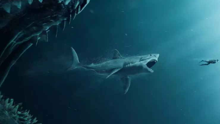 Niña encuentra un diente de megalodón, ¿siguen vivos?