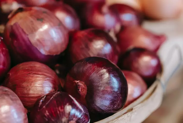 salmonela cebollas Senasica.jpg