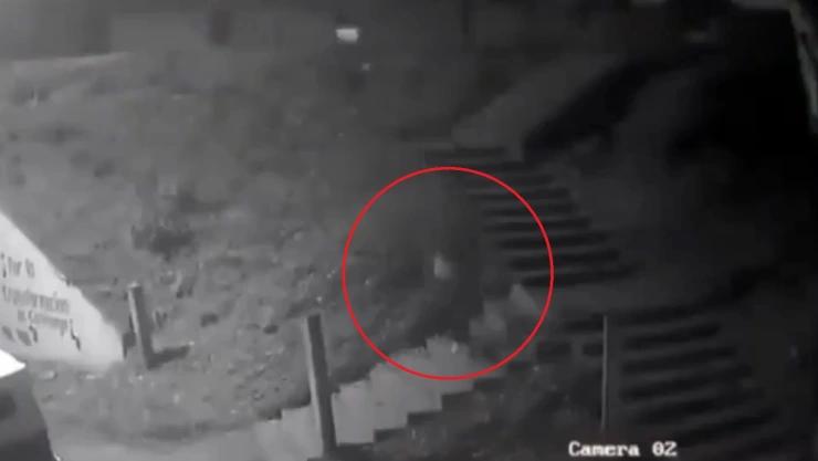 mujer se lanza de escaleras coronango autopista méxico puebla evitar secuestro