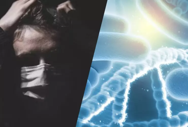 ¿Cuántos casos de tos ferina hay en México hasta abril 2025?