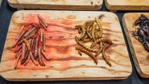 Estos son los peores 3 platillos mexicanos, según Taste Atlas