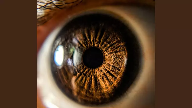 CURP biométrica.jpg