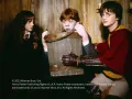 Harry Potter reparto