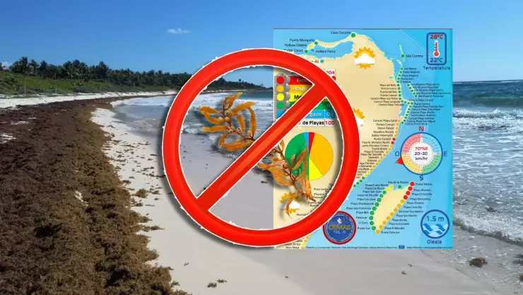 Playas sin sargazo en Cancún y todo Quintana Roo HOY 25 de marzo de 2026: Aquí la lista