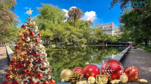 Los lugares m&aacute;s bonitos durante Navidad con el proyecto “Polanco en luces"&nbsp;