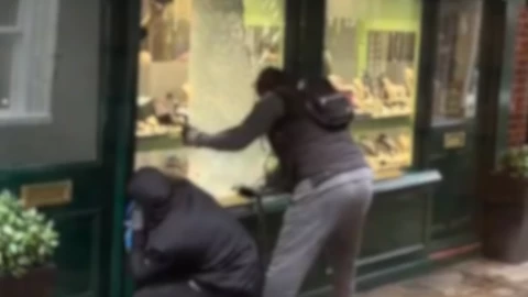 LADRONES JOYERÍA LUZ.png