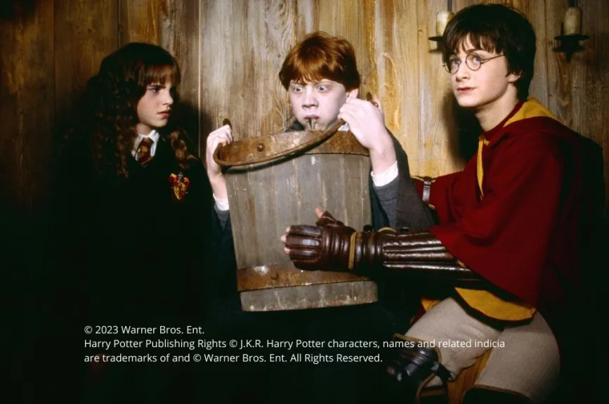 Harry Potter reparto