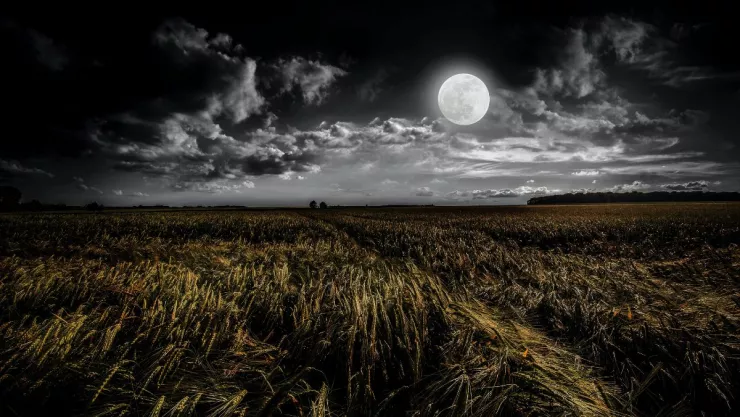 Luna de maíz o luna de cosecha 2022 ¿Qué es y cómo ver este fenómeno.