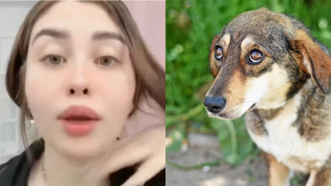 ¿Quién es Naomi Figueroa y cómo confesó haber sacrificado a un perrito en un ritual.png