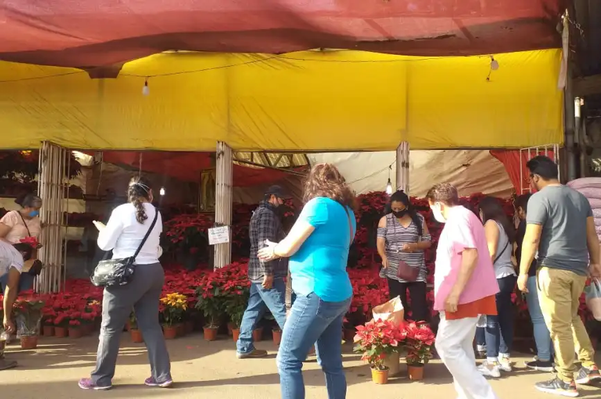 En estos mercados de flores puedes encontrar una gran variedad de nochebuenas a buen precio en la CDMX