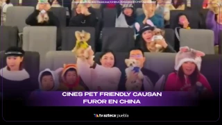 CHINA CINE PET FRIENDLY