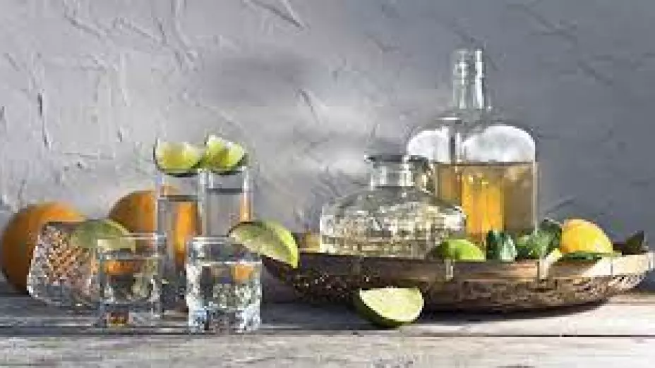 derivados agave - raicilla - denominación de origen