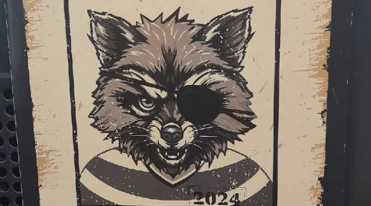 mapache 2025.png