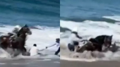 ¡Terrible! Fuertes olas arrastran a caballos y jinetes