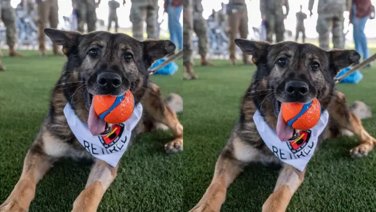 Kiru ceremonia de jubilación