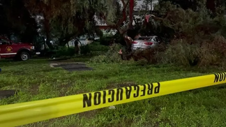 choque Periférico .jpg