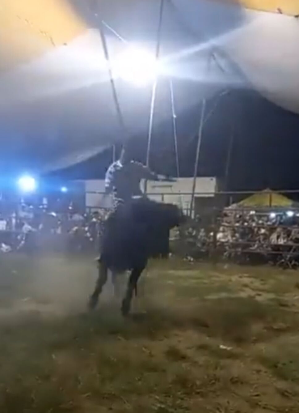niño-de-oro2.jpg