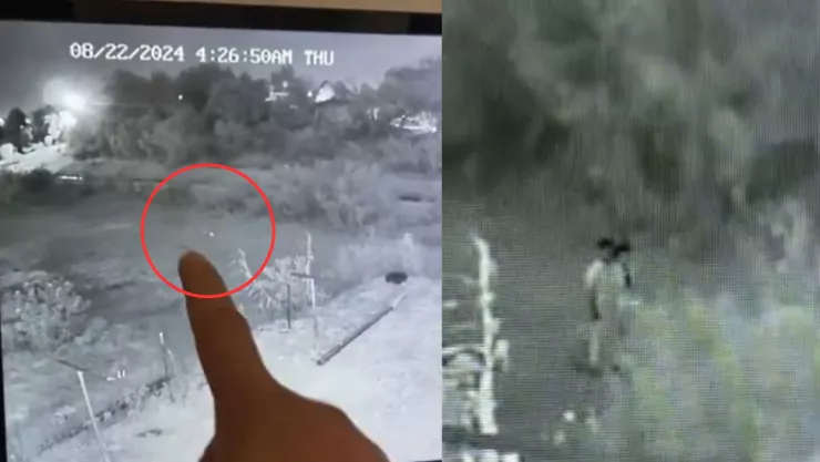 punto de luz se convirtió en niños.jpg