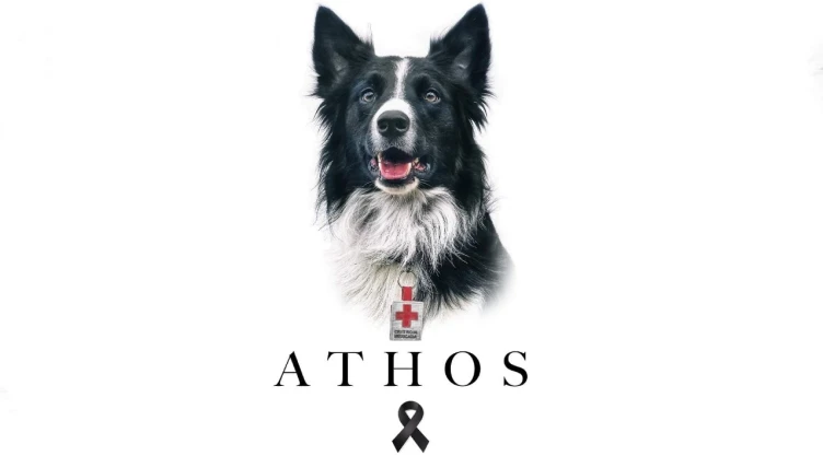 ley_athos_crueldad_animal
