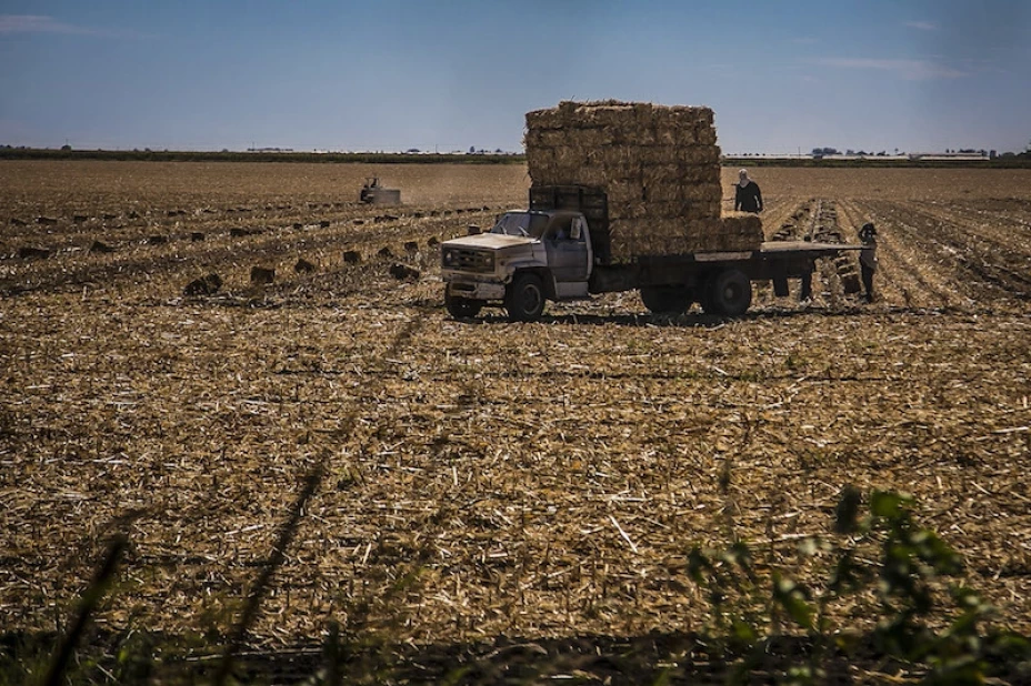 Productores agrícolas