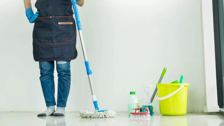 ¿Con qué trapear la casa para ahuyentar a insectos que hacen plaga?