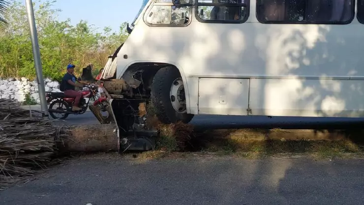 Camión de pasajeros se impacta contra palma de guano