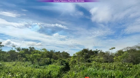 Clima en Tabasco, miércoles 3 de diciembre: Lluvias aisladas, temperaturas y pronóstico del tiempo