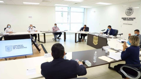 ley olimpia tamaulipas congreso.jpg