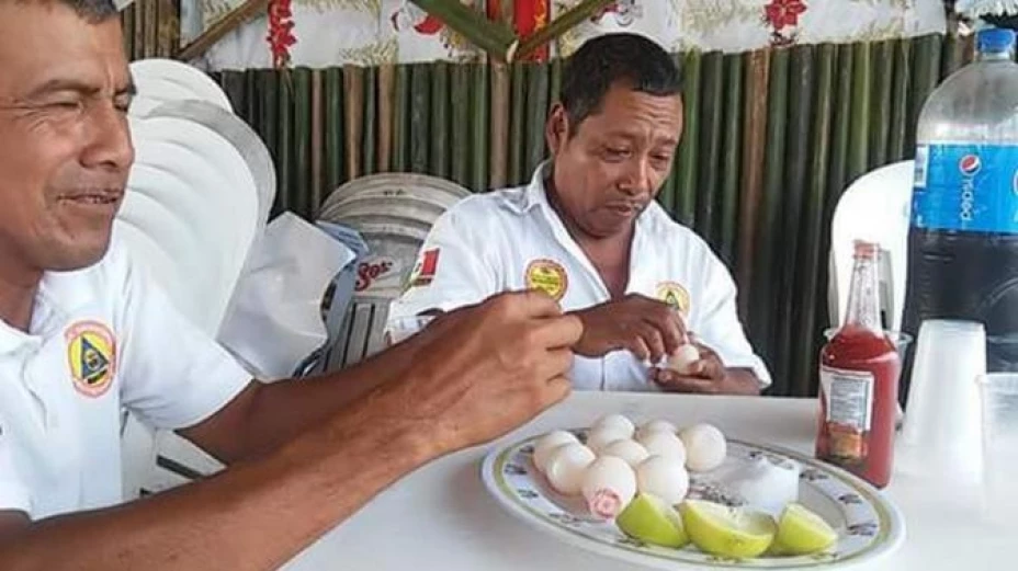 Personasl de Protección Civil y el Alcalde pidieron 2 docenas de huevos de parlama, fauna que se encuentra en peligro de extinción.