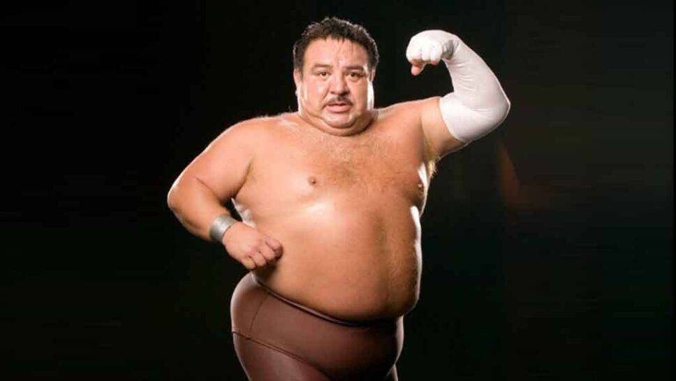Brazo de plata