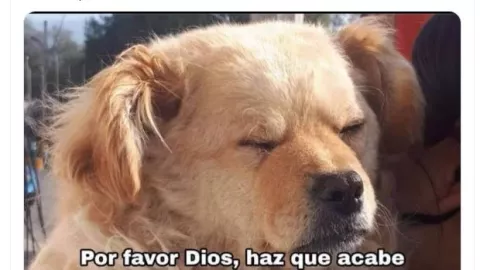 Muchos usuarios no sintieron el movimiento por el temblor en Oaxaca de este lunes