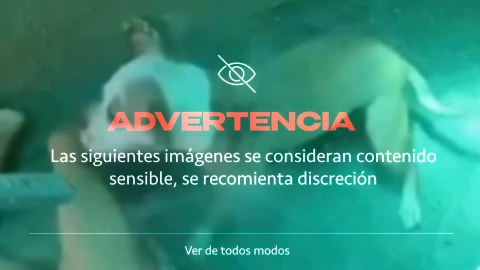 ¡Imágenes sensibles! Mujer muere y queda IRRECONOCIBLE tras ser atacada por sus dos perros pitbull